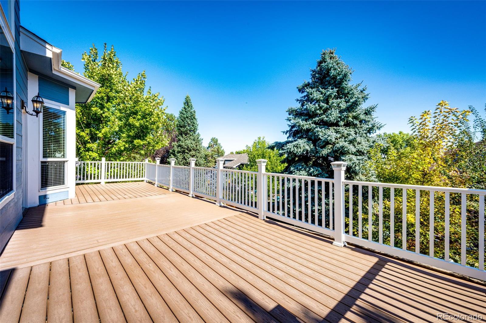 MLS Image #4 for 9768  sylvestor road,highlands ranch, Colorado