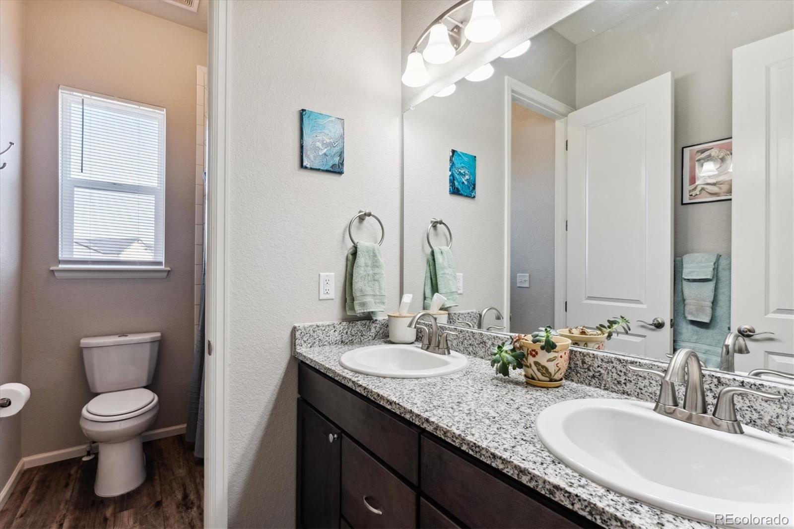 MLS Image #23 for 6896  mentha drive,castle rock, Colorado