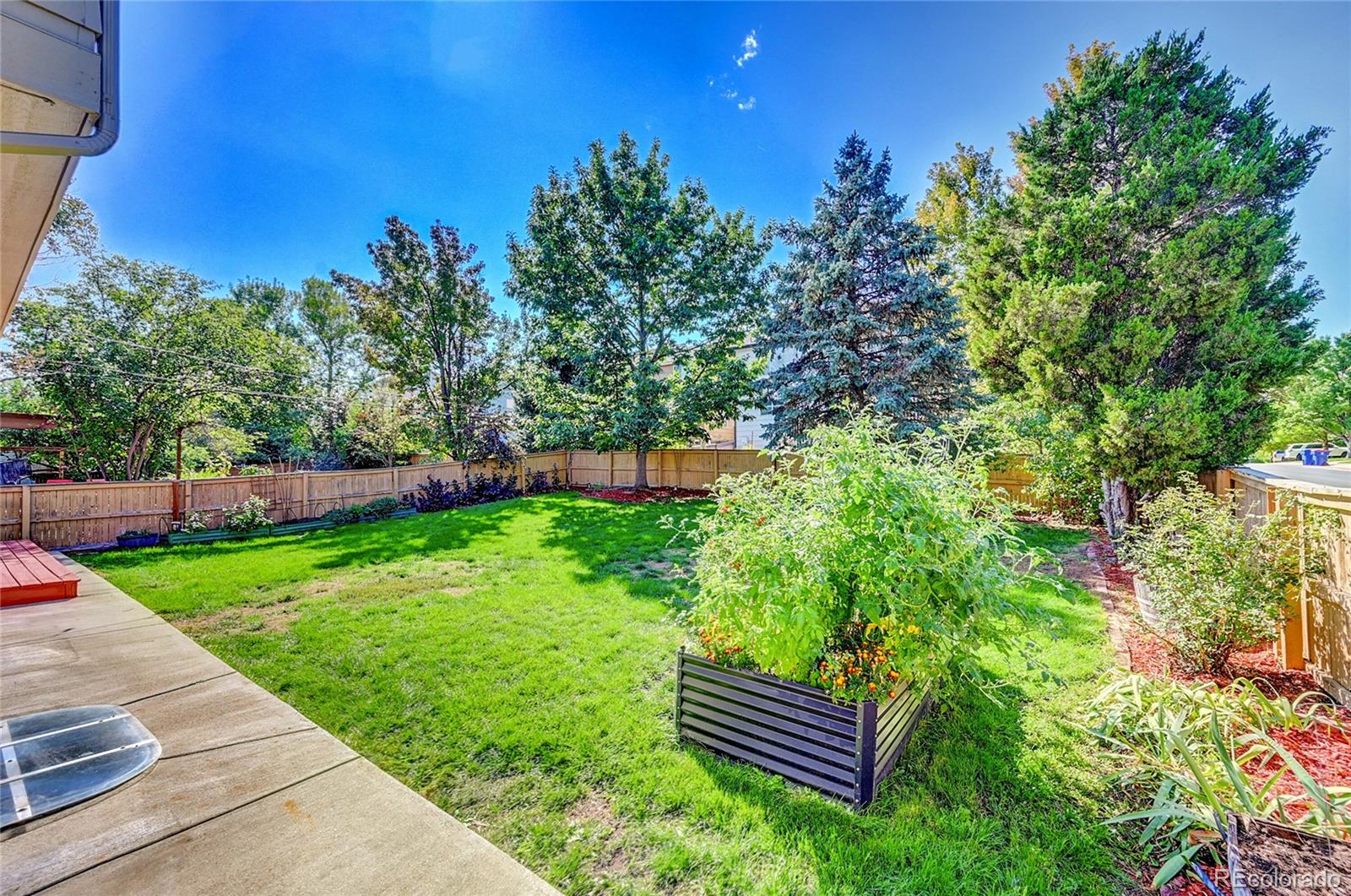 MLS Image #32 for 498  sylvestor trail,highlands ranch, Colorado