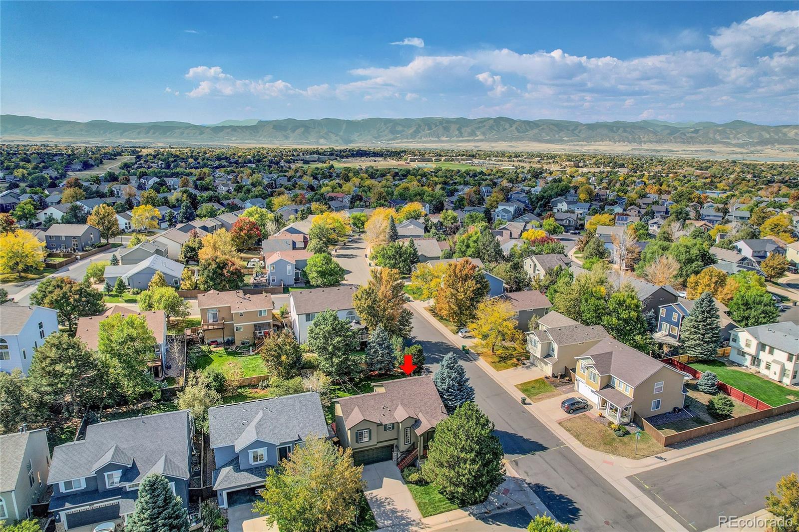 MLS Image #43 for 498  sylvestor trail,highlands ranch, Colorado