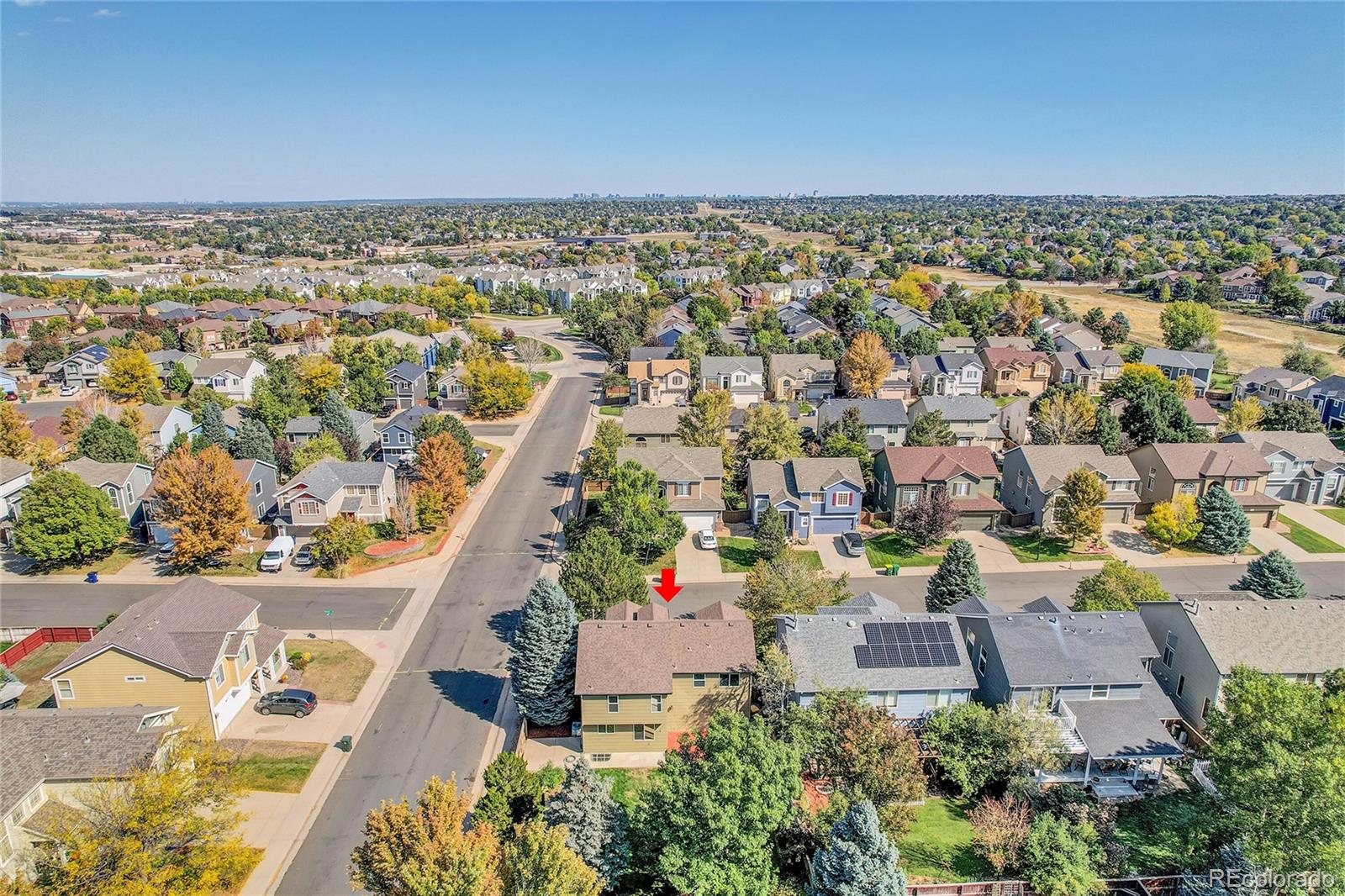 MLS Image #46 for 498  sylvestor trail,highlands ranch, Colorado