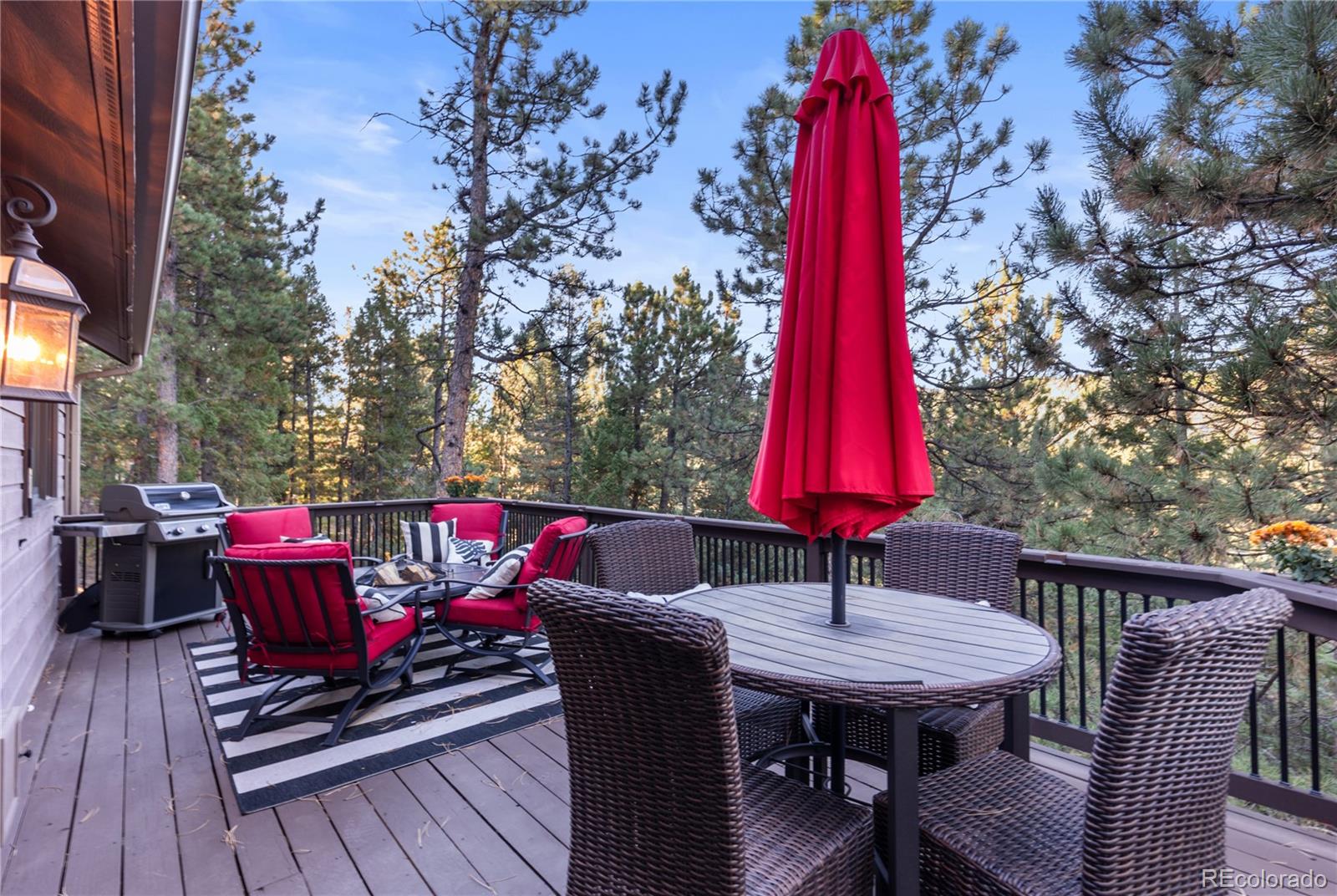 MLS Image #10 for 9059  william cody drive,evergreen, Colorado