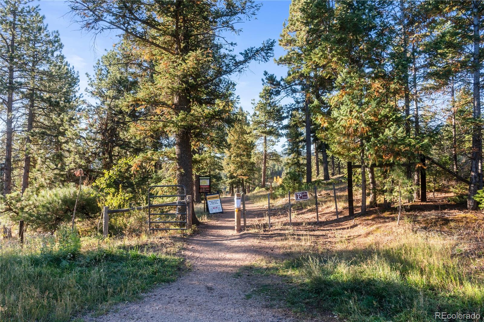 MLS Image #44 for 9059  william cody drive,evergreen, Colorado