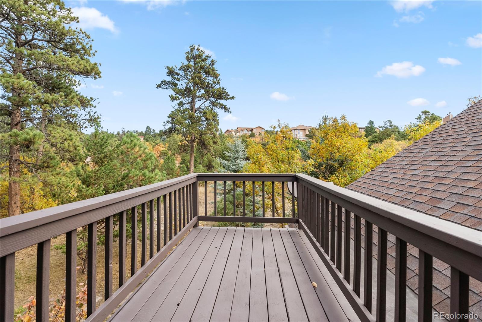 MLS Image #22 for 19615  doewood drive,monument, Colorado