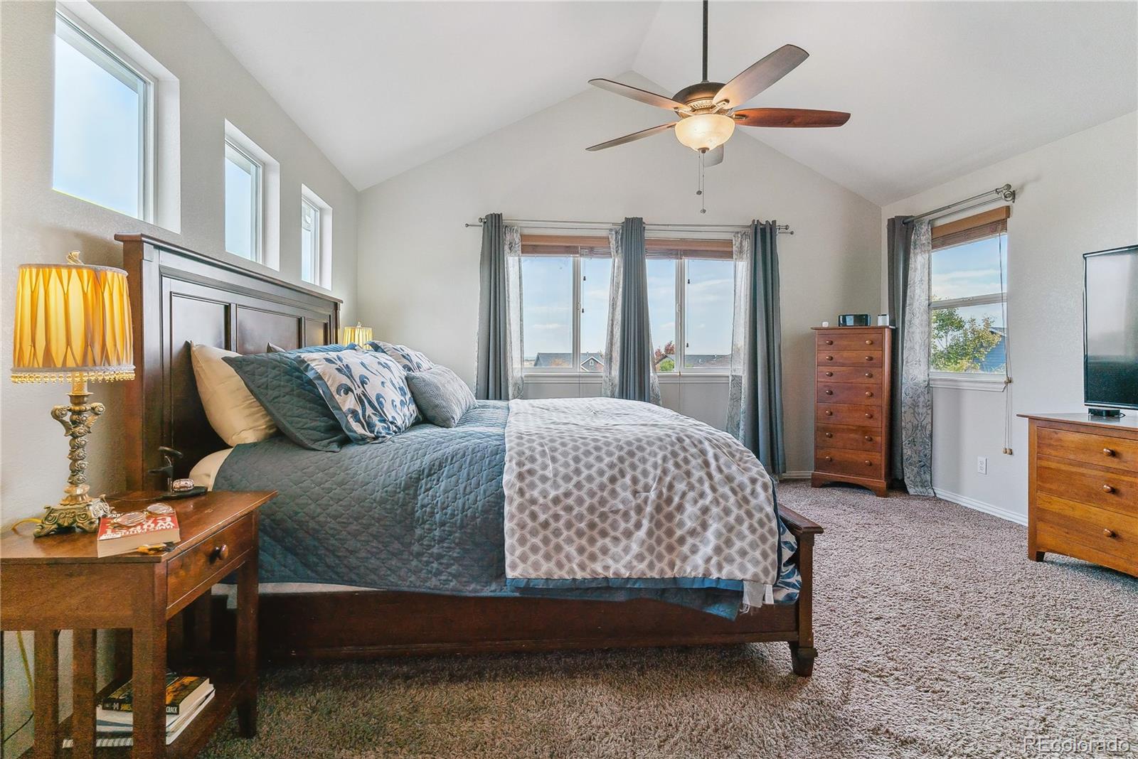 MLS Image #18 for 3477  softwind point,castle rock, Colorado