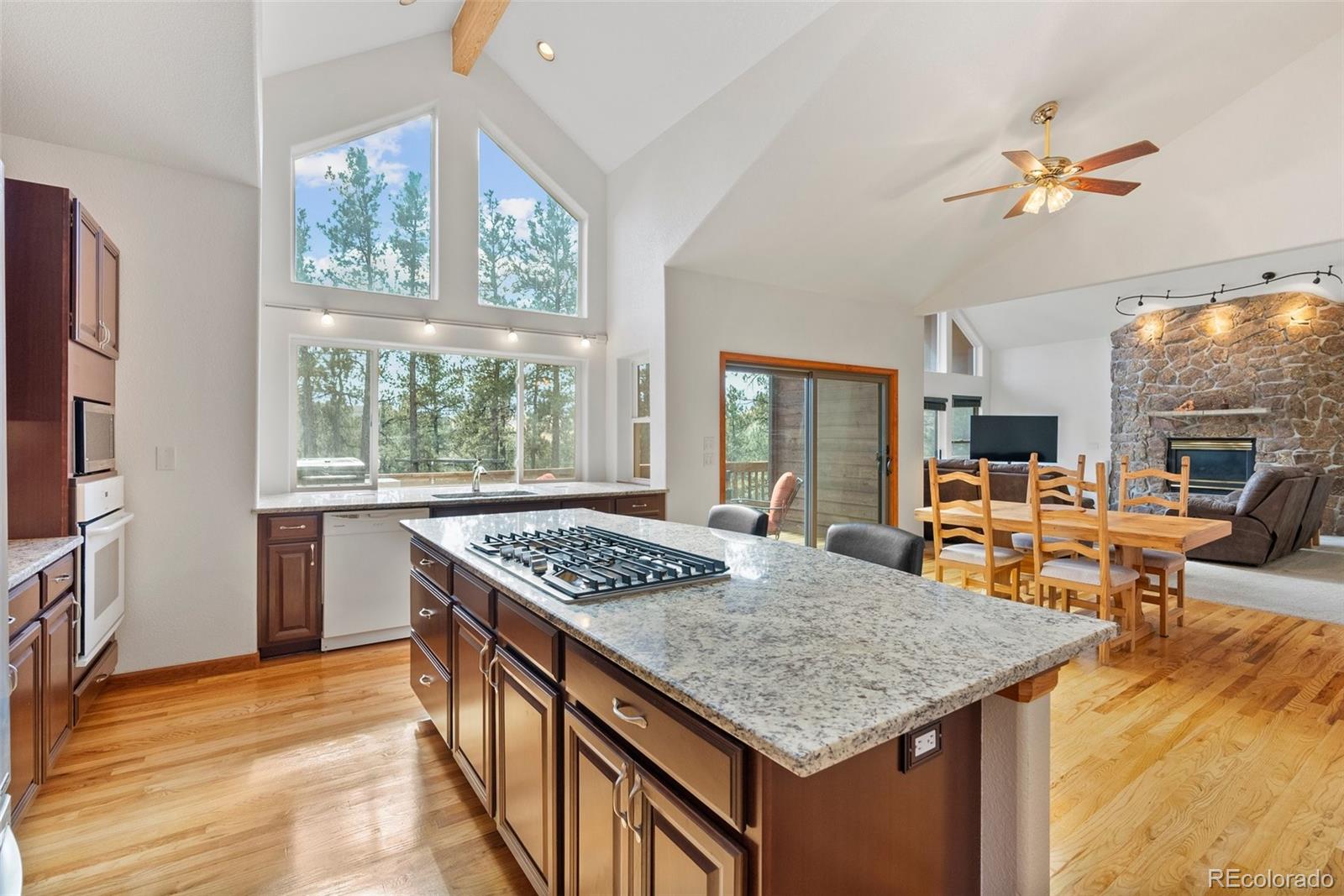 MLS Image #10 for 15364 s swiss rd ,pine, Colorado