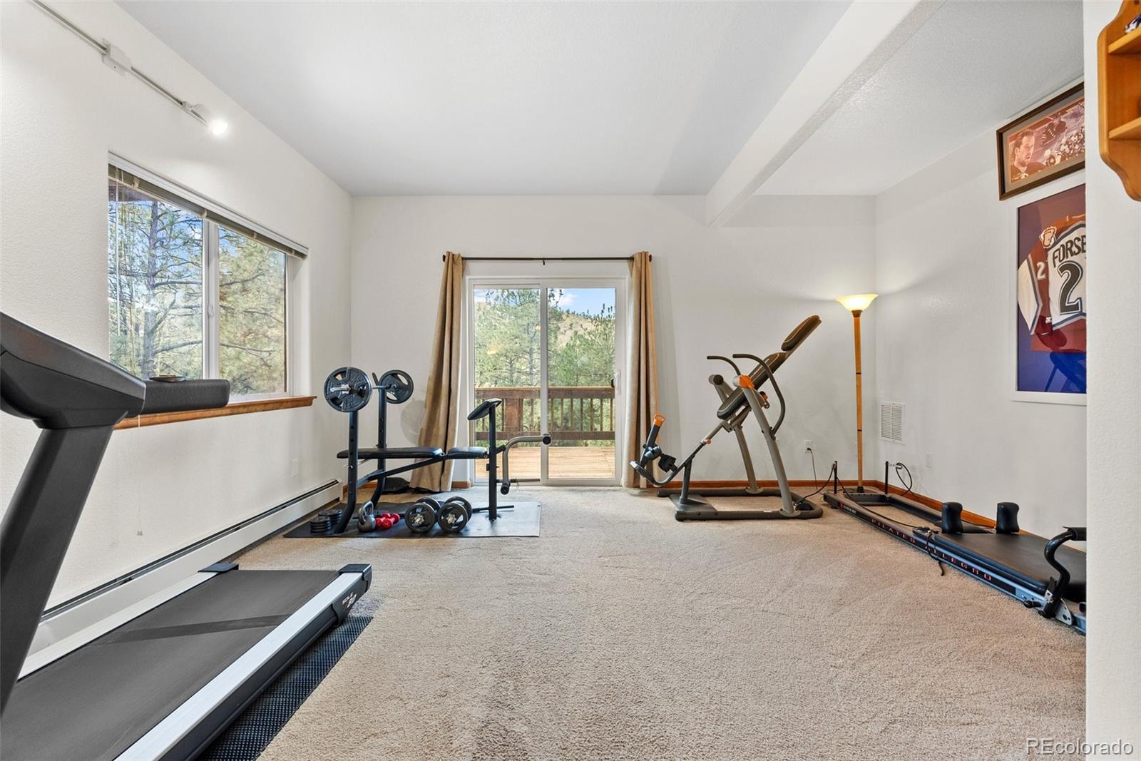 MLS Image #21 for 15364 s swiss rd ,pine, Colorado