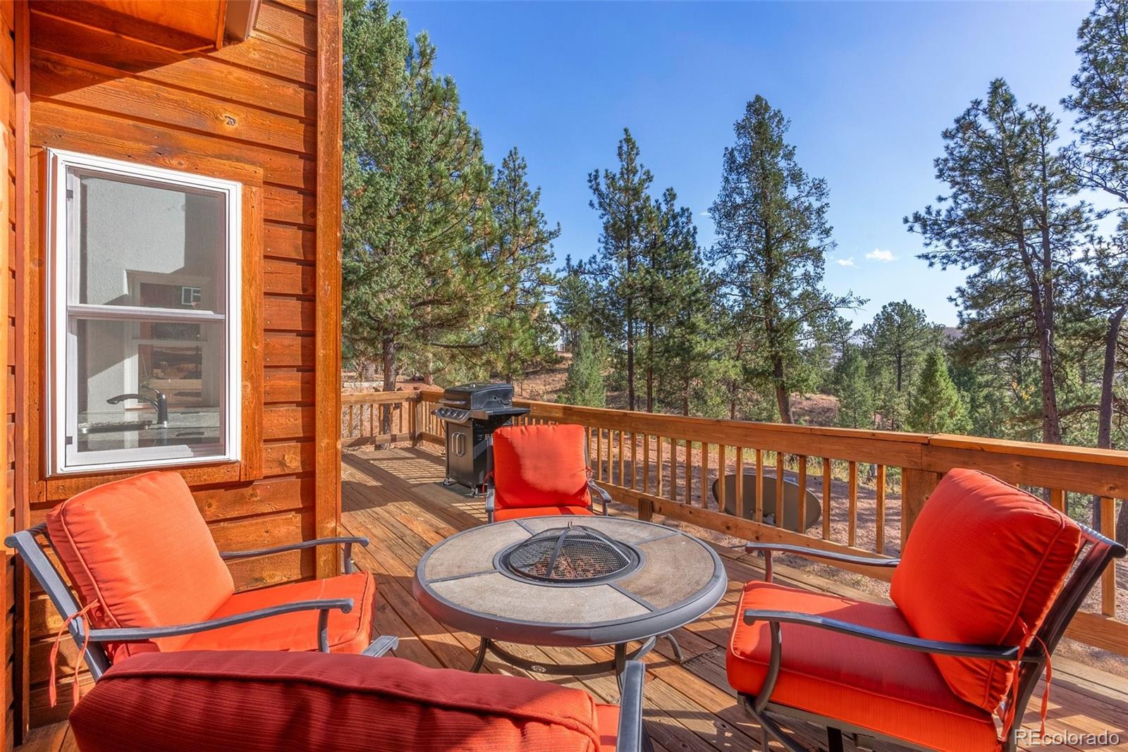 MLS Image #25 for 15364 s swiss rd ,pine, Colorado