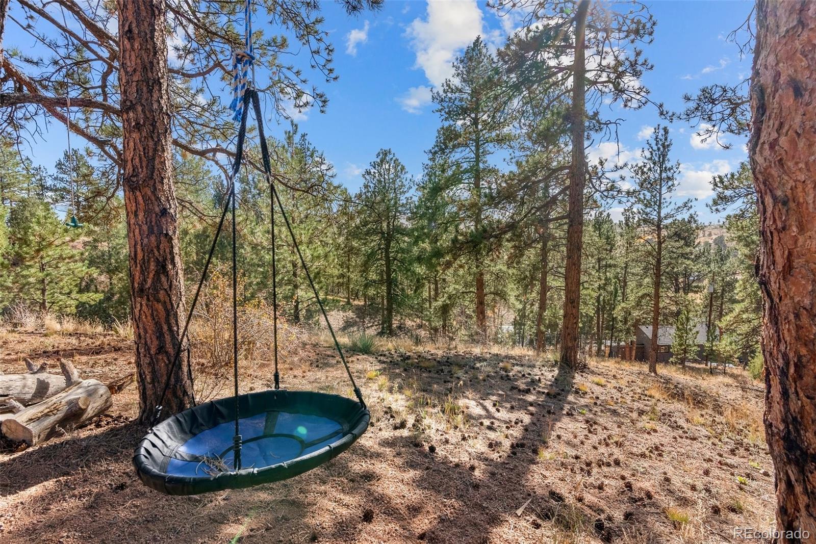MLS Image #30 for 15364 s swiss rd ,pine, Colorado