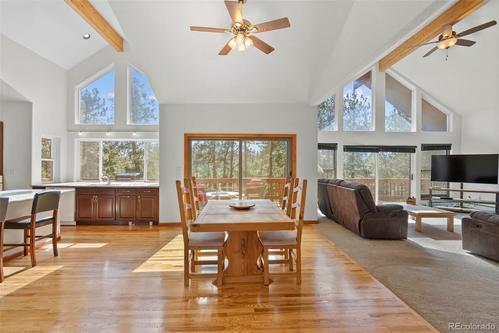 MLS Image #8 for 15364 s swiss rd ,pine, Colorado