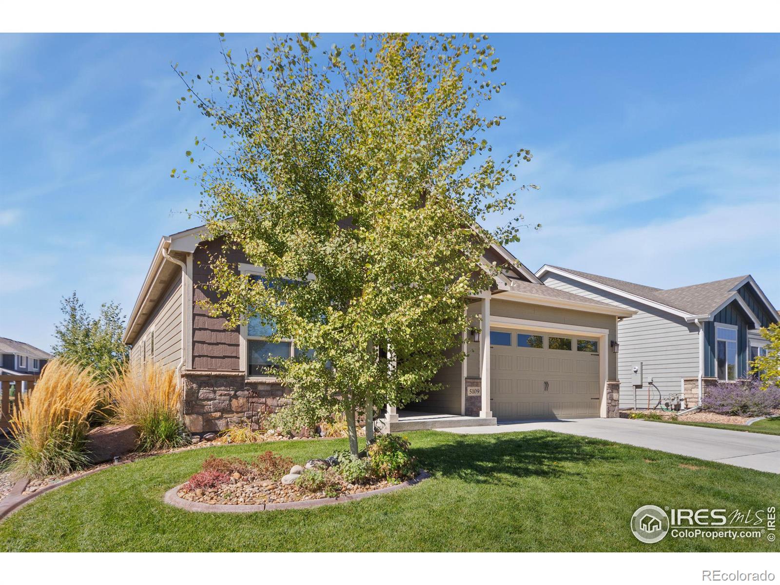 CMA Image for 5633  claret street,Timnath, Colorado