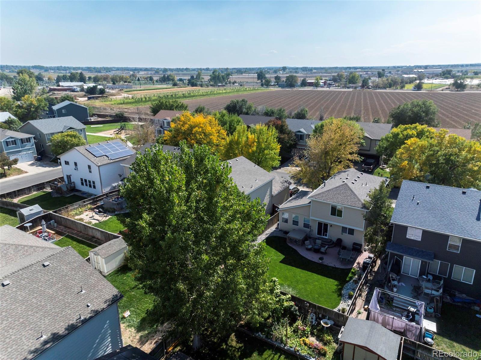 MLS Image #25 for 1247  lark avenue,brighton, Colorado