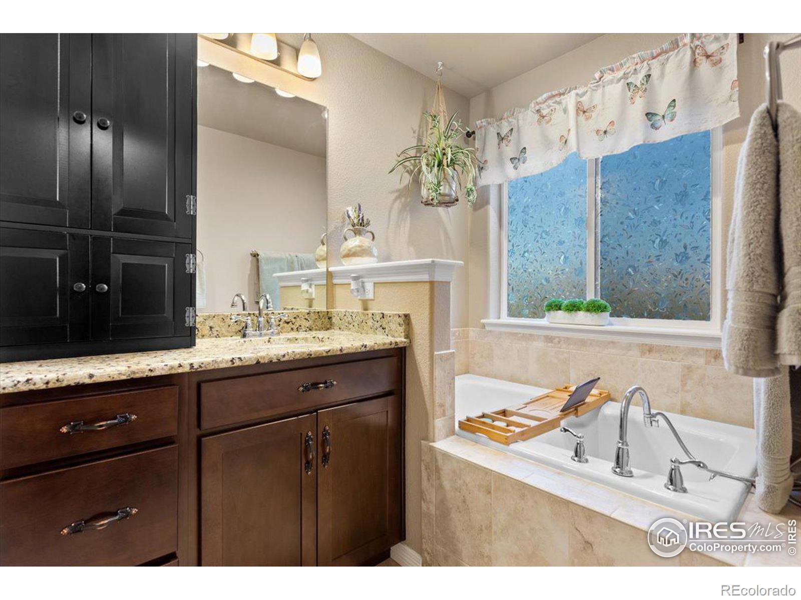 MLS Image #17 for 1400  waterfall street,timnath, Colorado