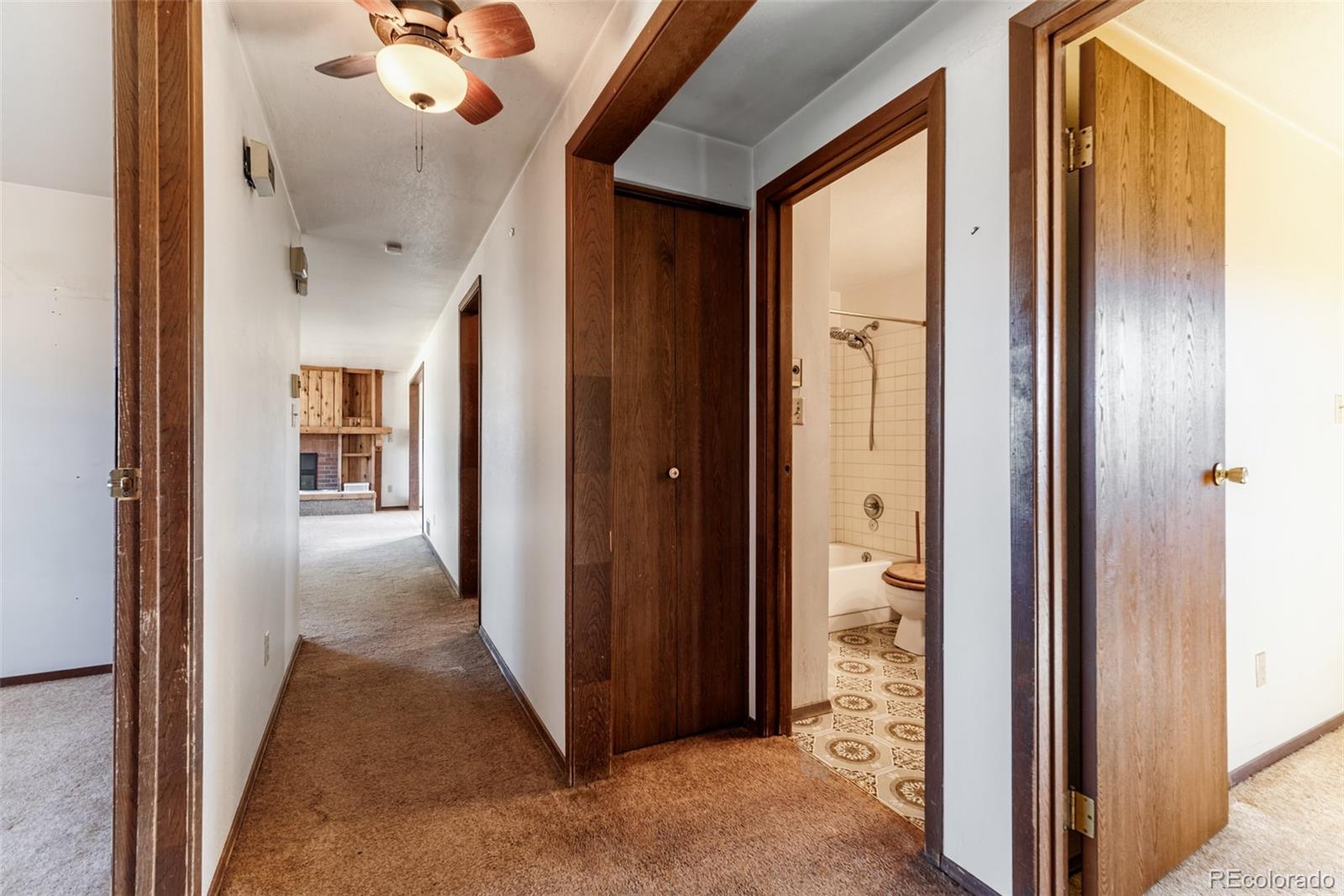 MLS Image #11 for 24629  pleasant park road,conifer, Colorado