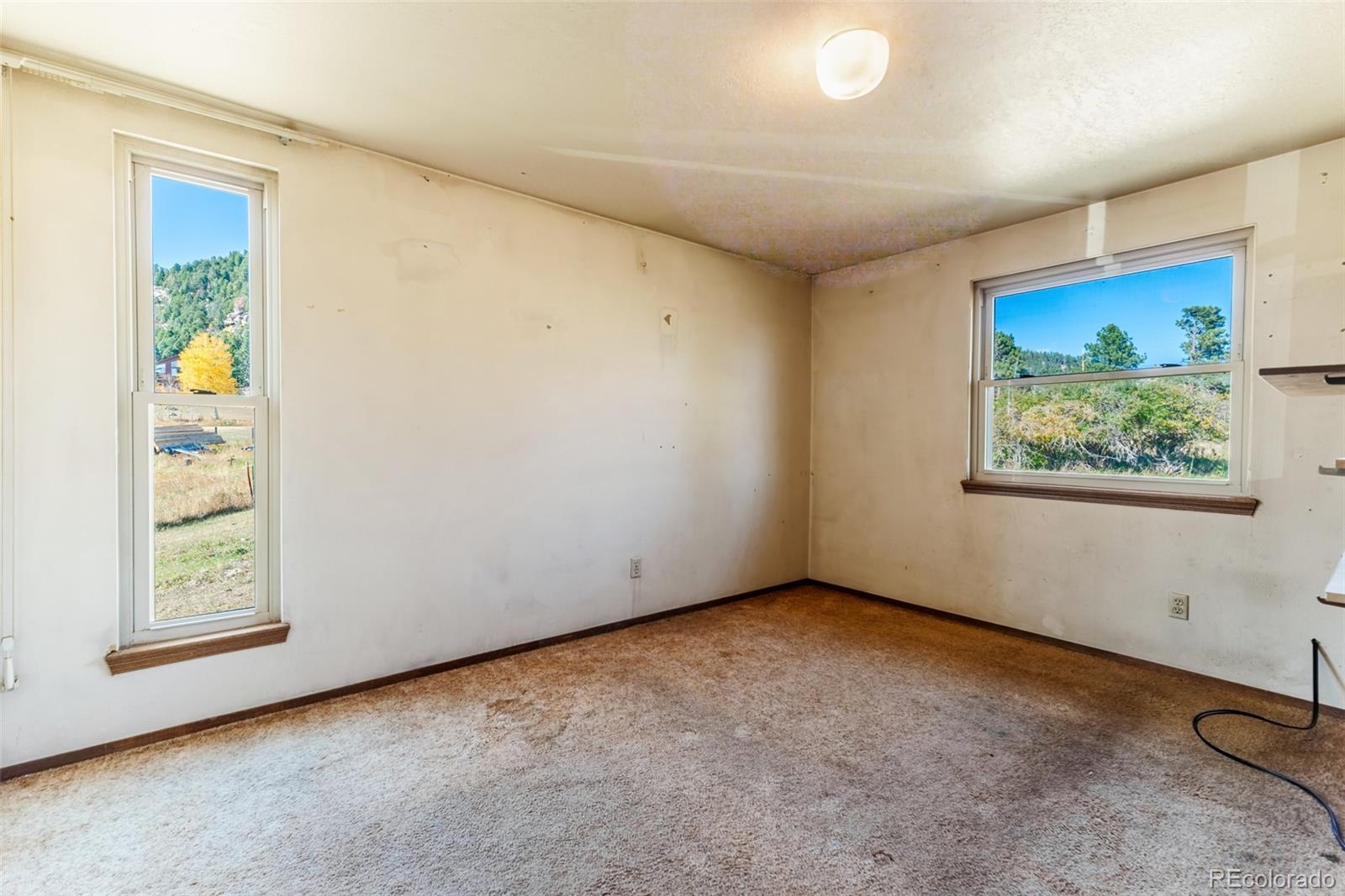 MLS Image #14 for 24629  pleasant park road,conifer, Colorado