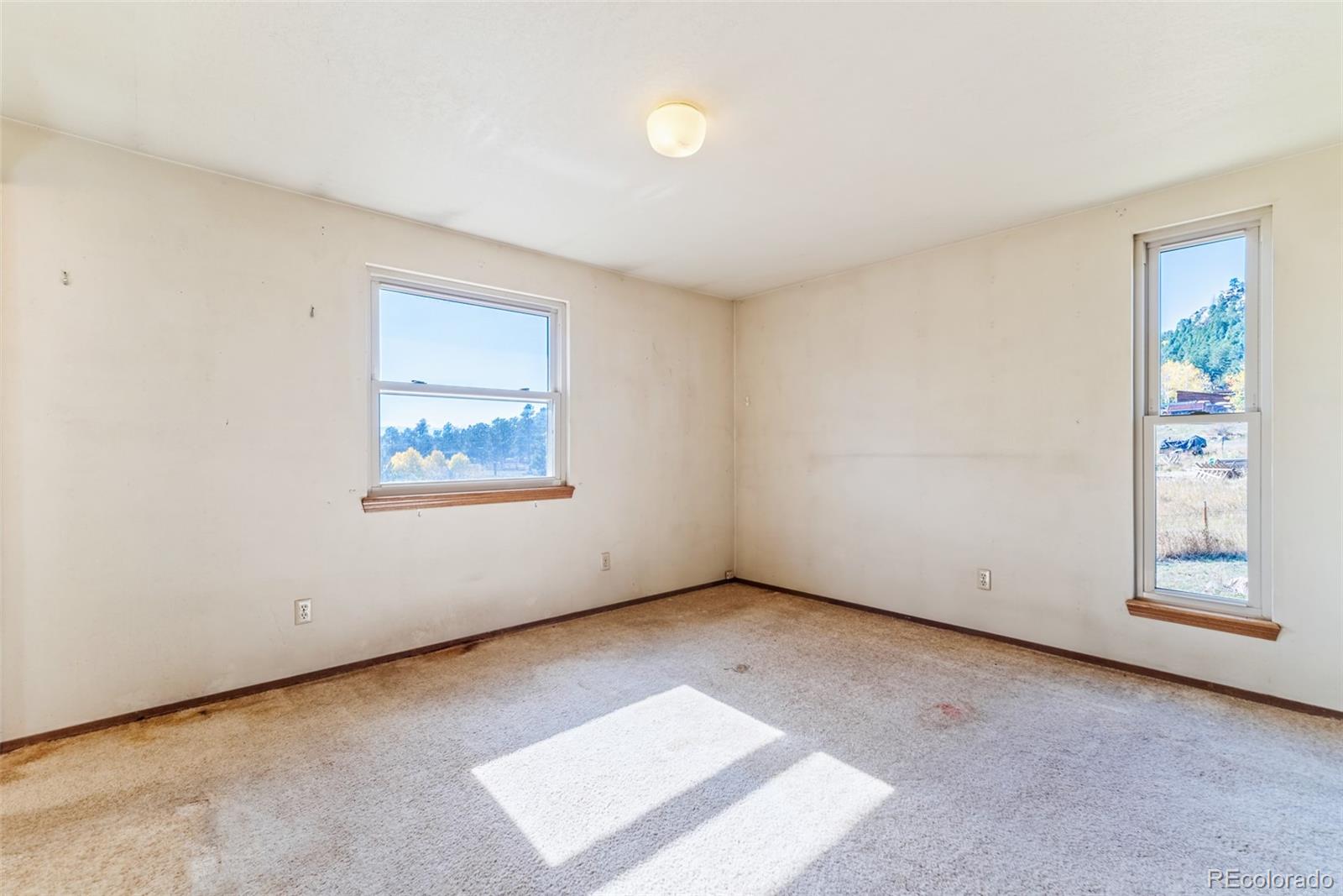 MLS Image #15 for 24629  pleasant park road,conifer, Colorado