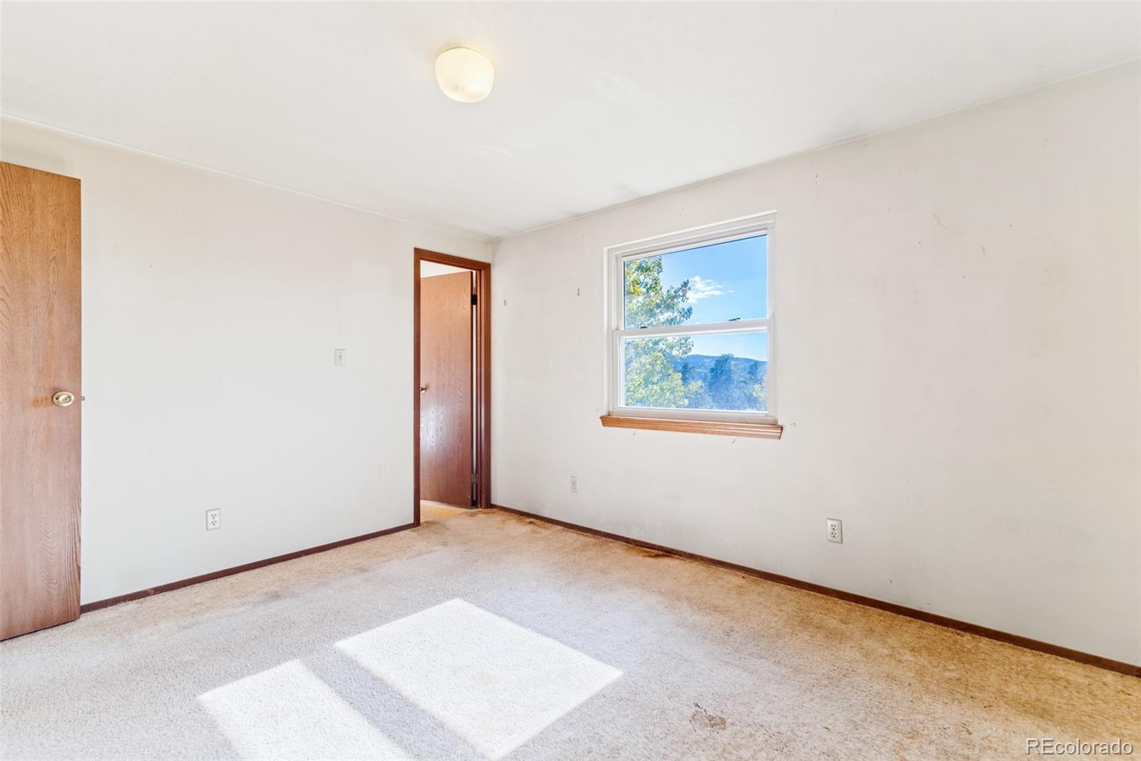 MLS Image #19 for 24629  pleasant park road,conifer, Colorado