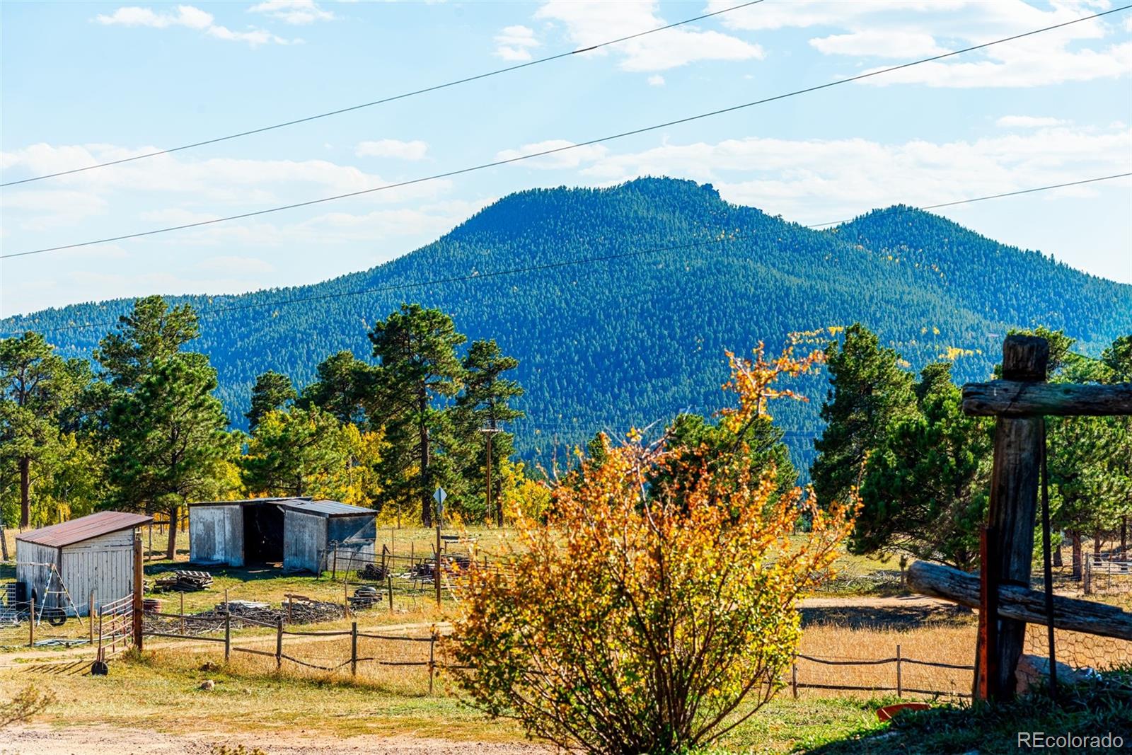 MLS Image #2 for 24629  pleasant park road,conifer, Colorado