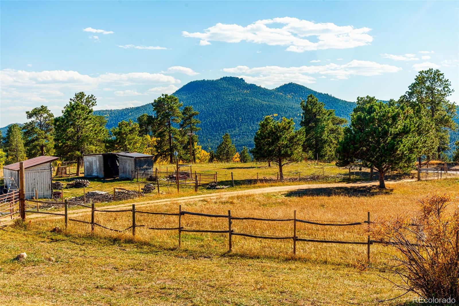 MLS Image #36 for 24629  pleasant park road,conifer, Colorado