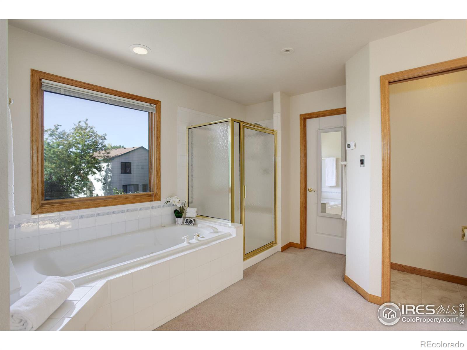 MLS Image #23 for 960  alexandria drive,loveland, Colorado