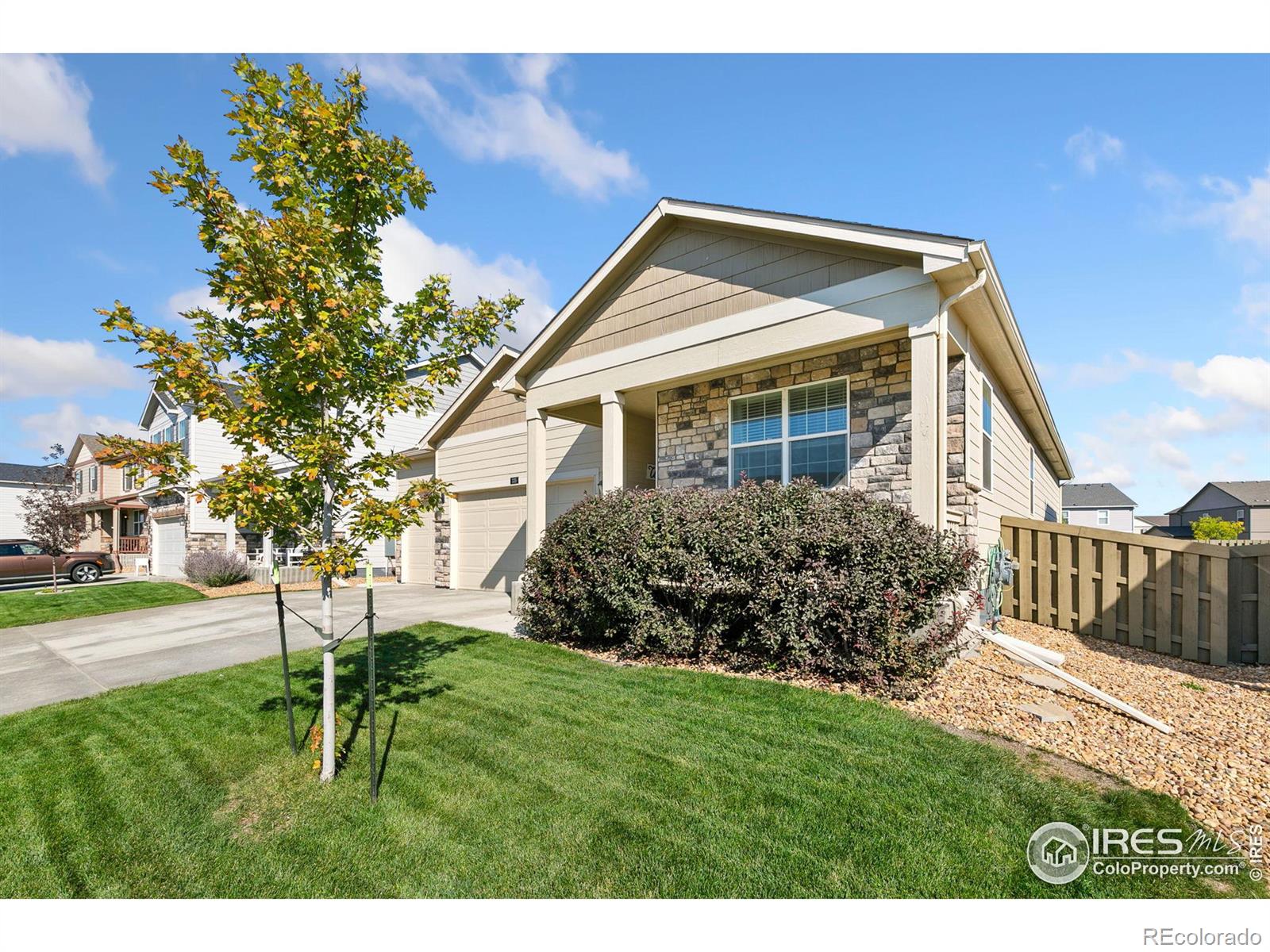 MLS Image #2 for 335  jay avenue,severance, Colorado