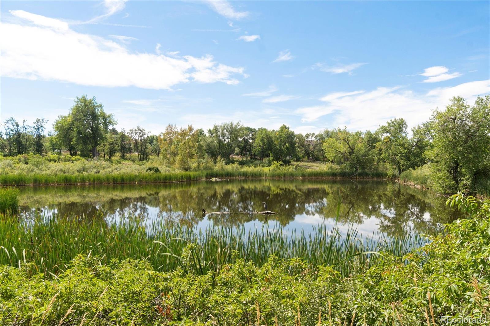 MLS Image #28 for 5117 w 108th circle,westminster, Colorado