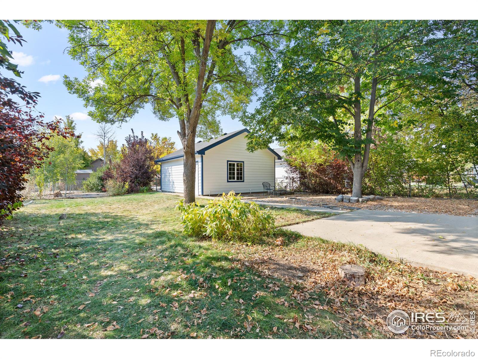 MLS Image #21 for 215 e iowa avenue,berthoud, Colorado