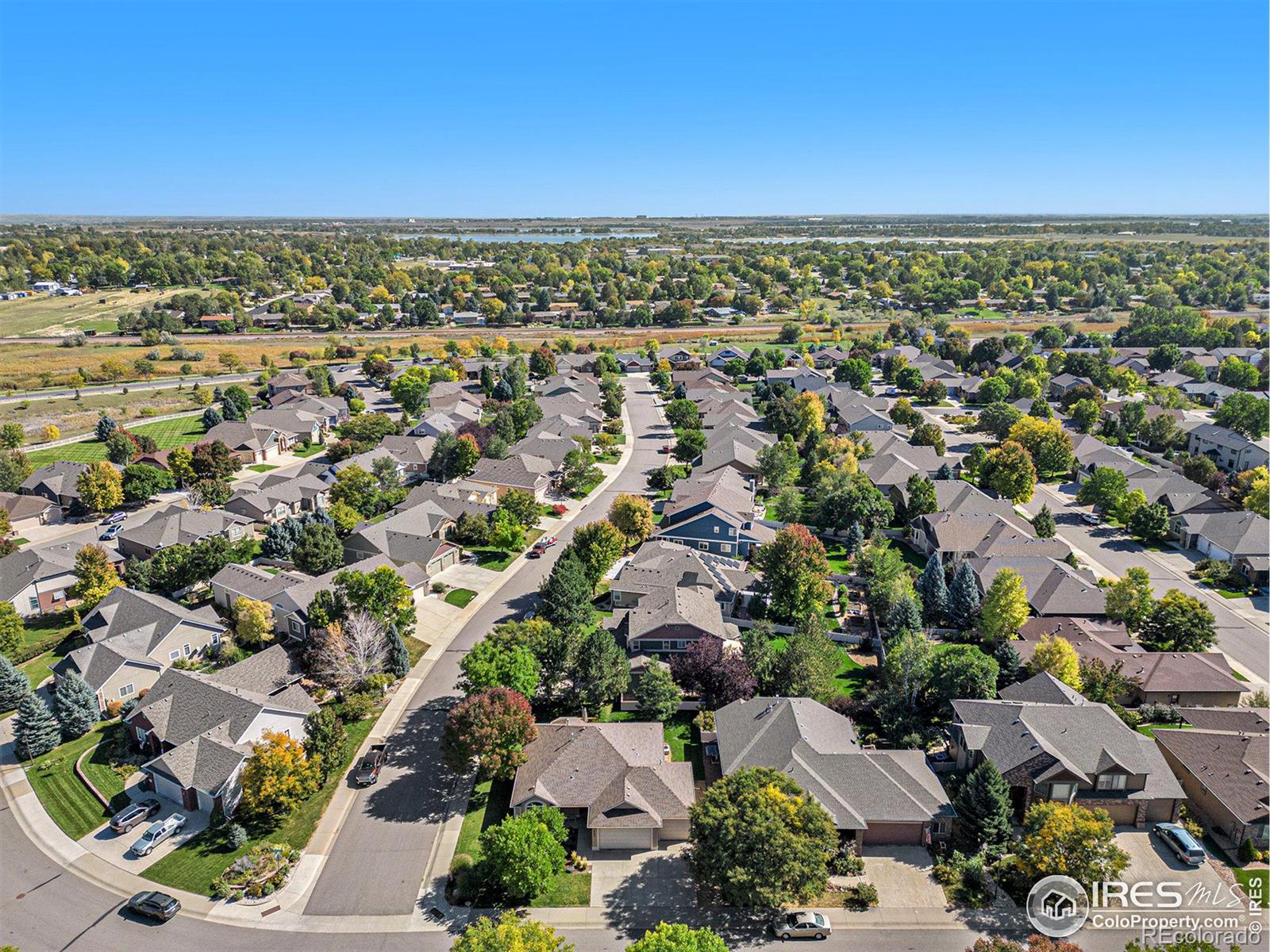 MLS Image #9 for 4740  coffeetree drive,loveland, Colorado