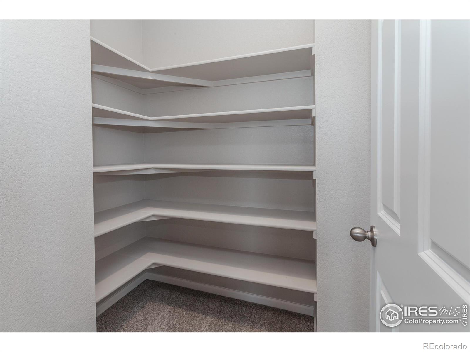 MLS Image #25 for 1117  crystal creek drive,windsor, Colorado