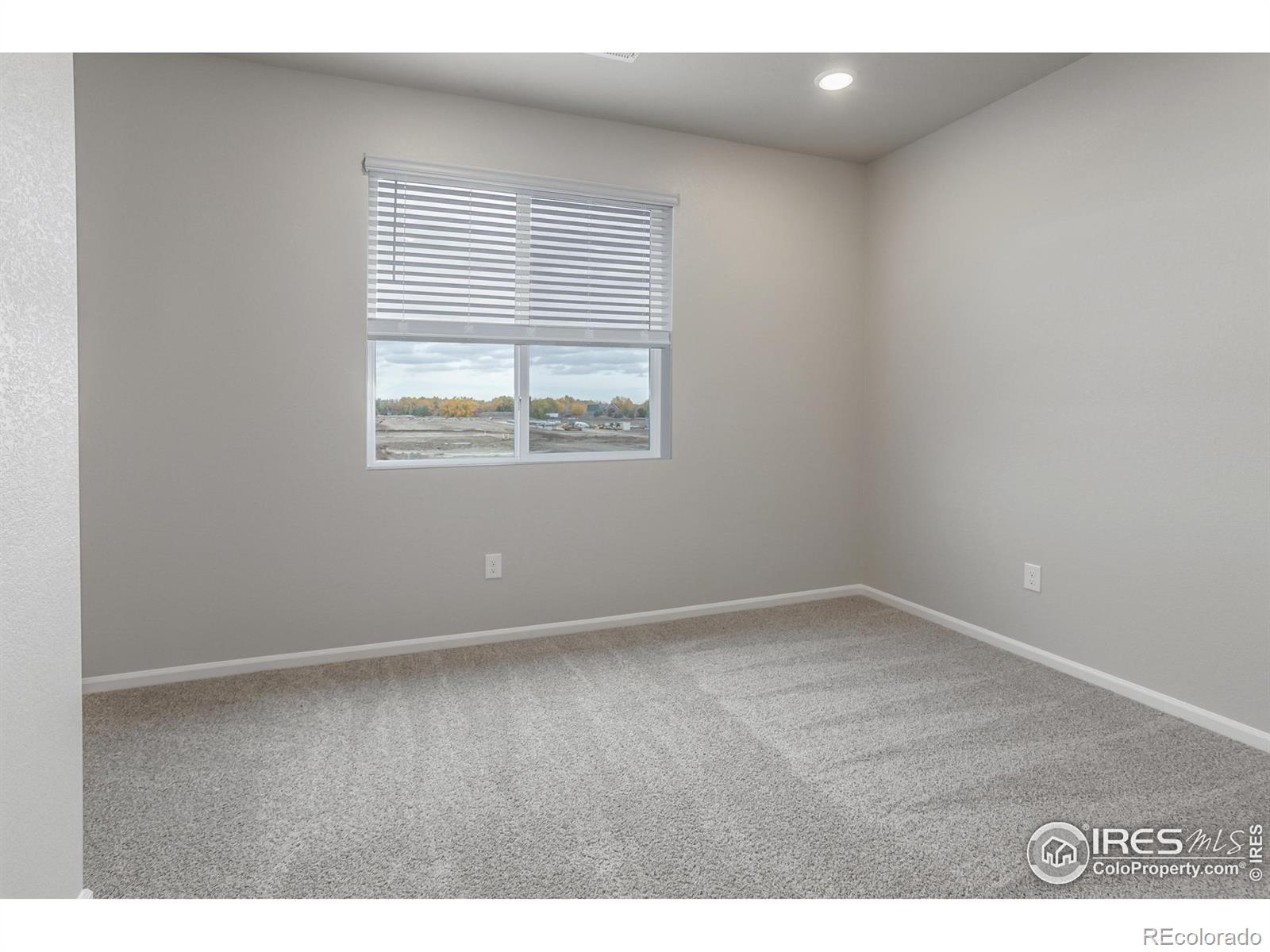 MLS Image #27 for 1117  crystal creek drive,windsor, Colorado
