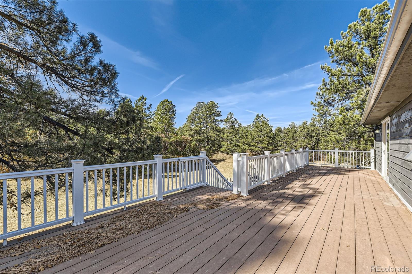 MLS Image #34 for 667 n white tail drive,franktown, Colorado