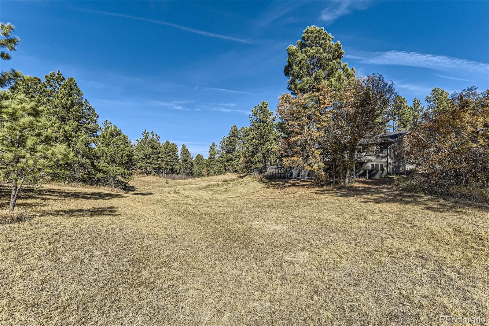 MLS Image #40 for 667 n white tail drive,franktown, Colorado