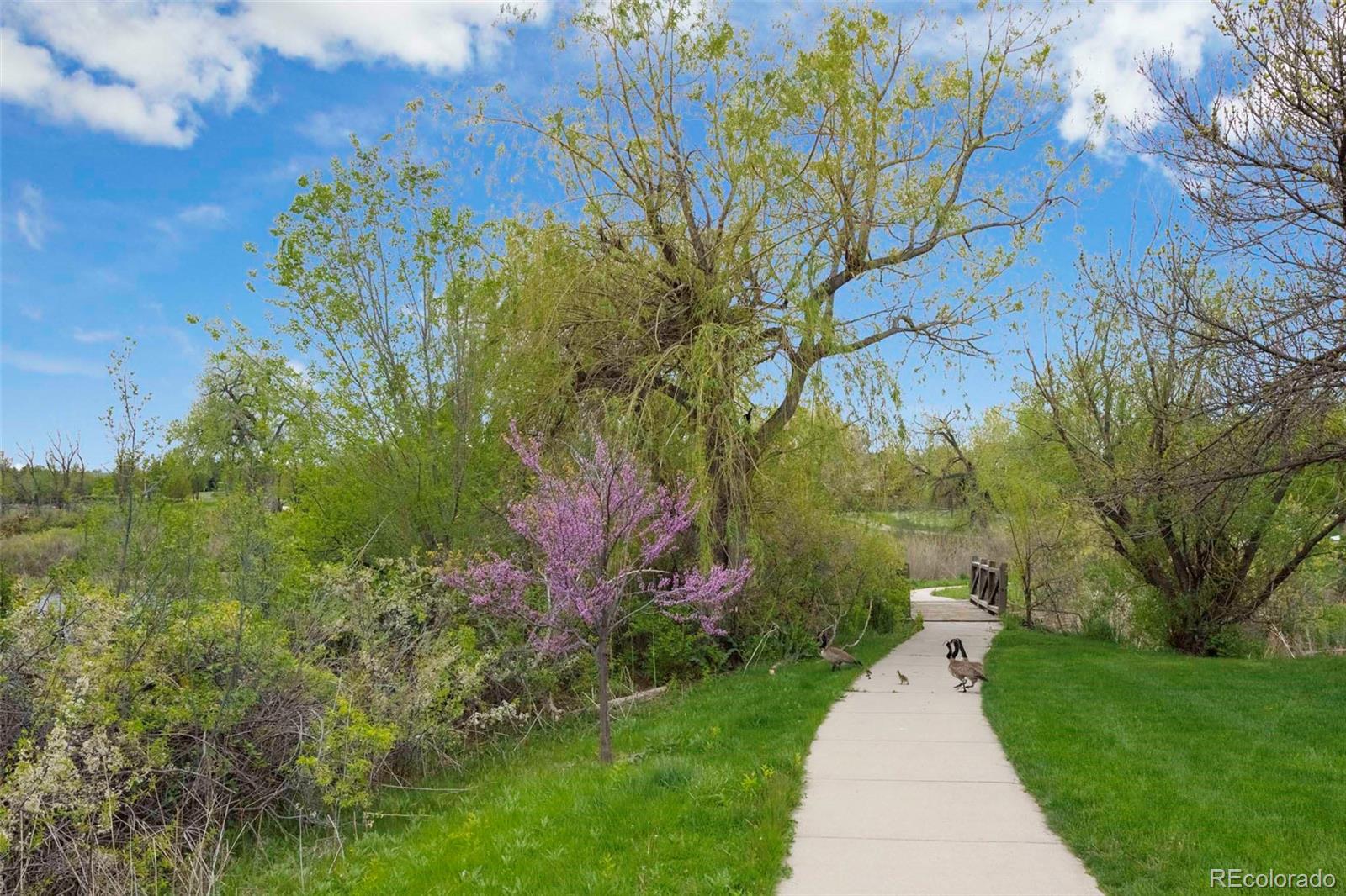 MLS Image #49 for 3116 w 112th court,westminster, Colorado