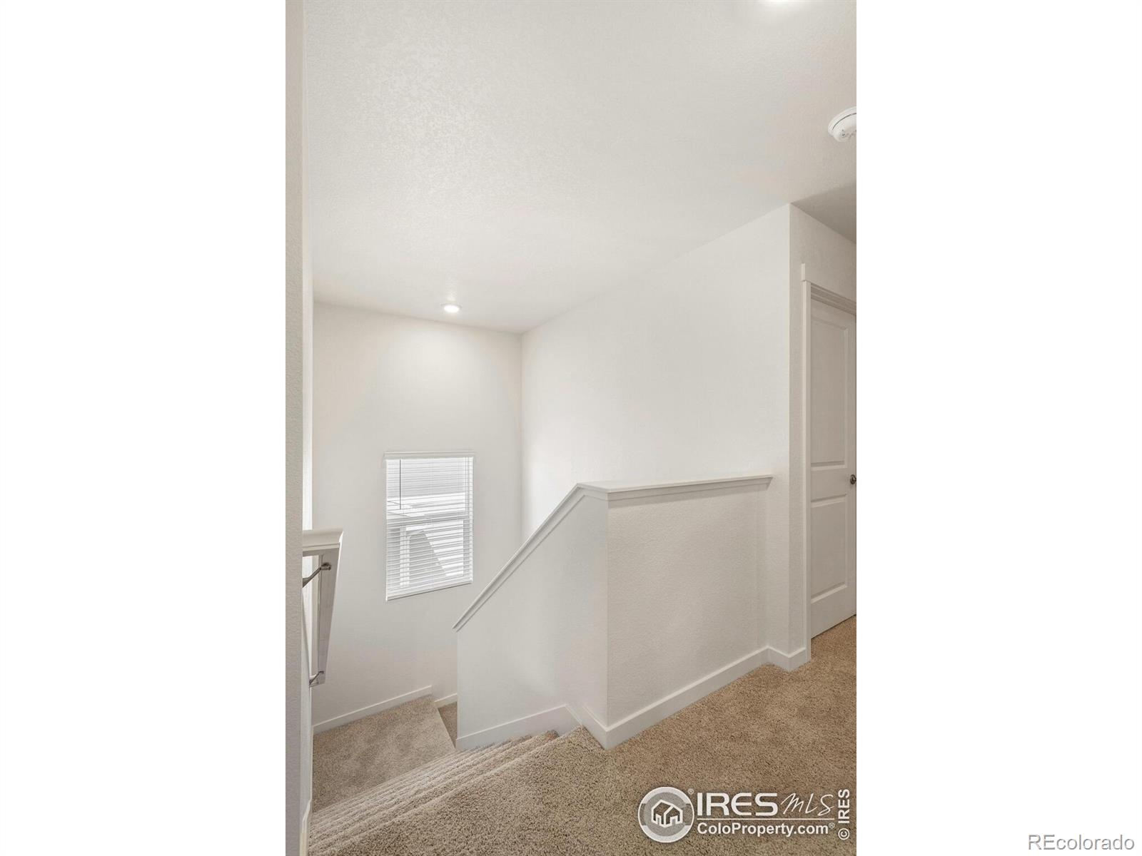 MLS Image #18 for 832  crest street,lochbuie, Colorado