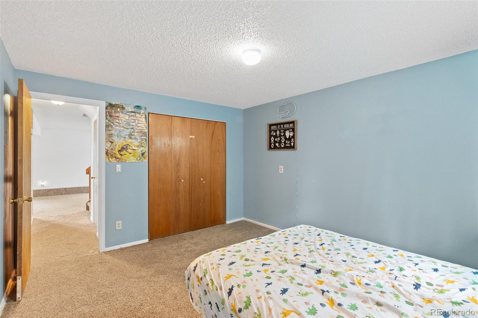 MLS Image #17 for 604  wheat field road,fountain, Colorado