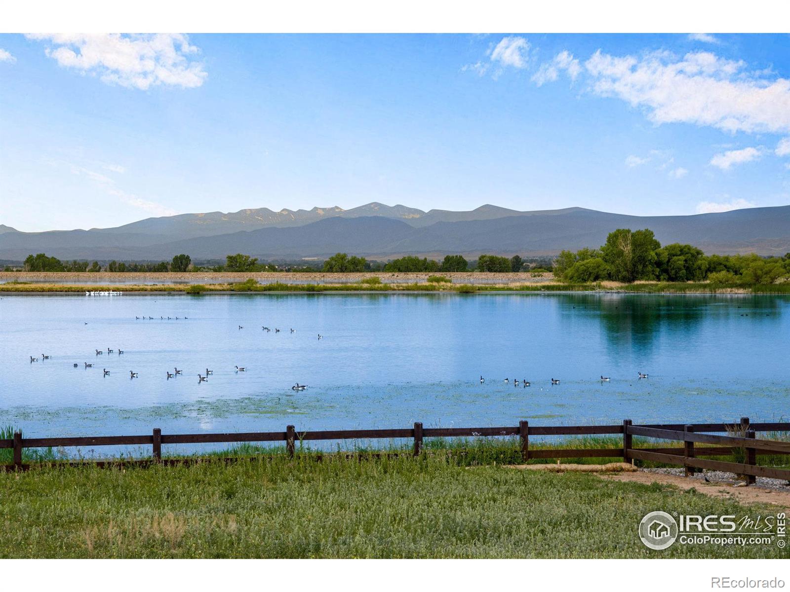 MLS Image #36 for 7006  toponas court,timnath, Colorado