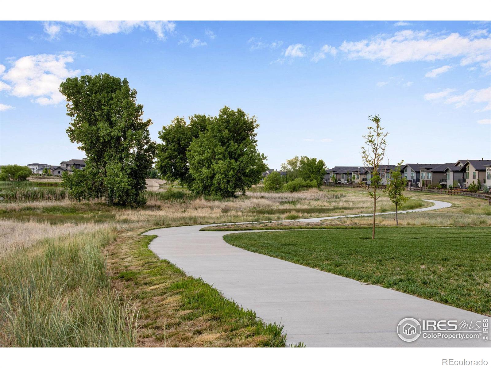 MLS Image #39 for 7006  toponas court,timnath, Colorado