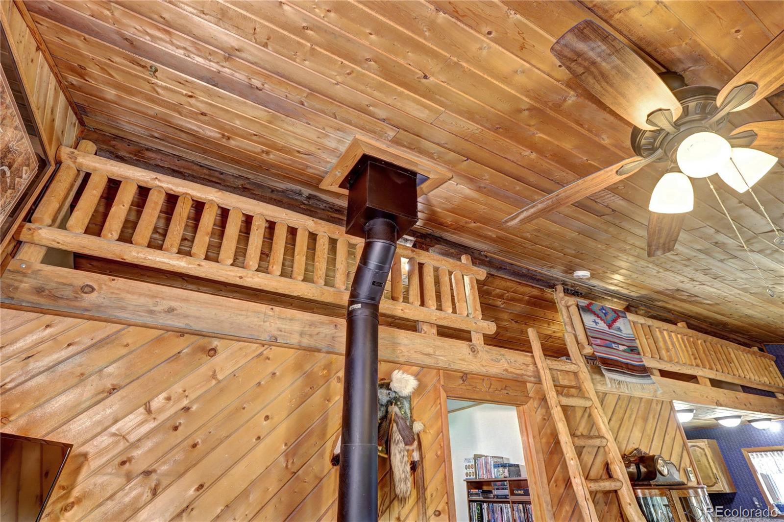 MLS Image #10 for 9340 s warhawk road,conifer, Colorado