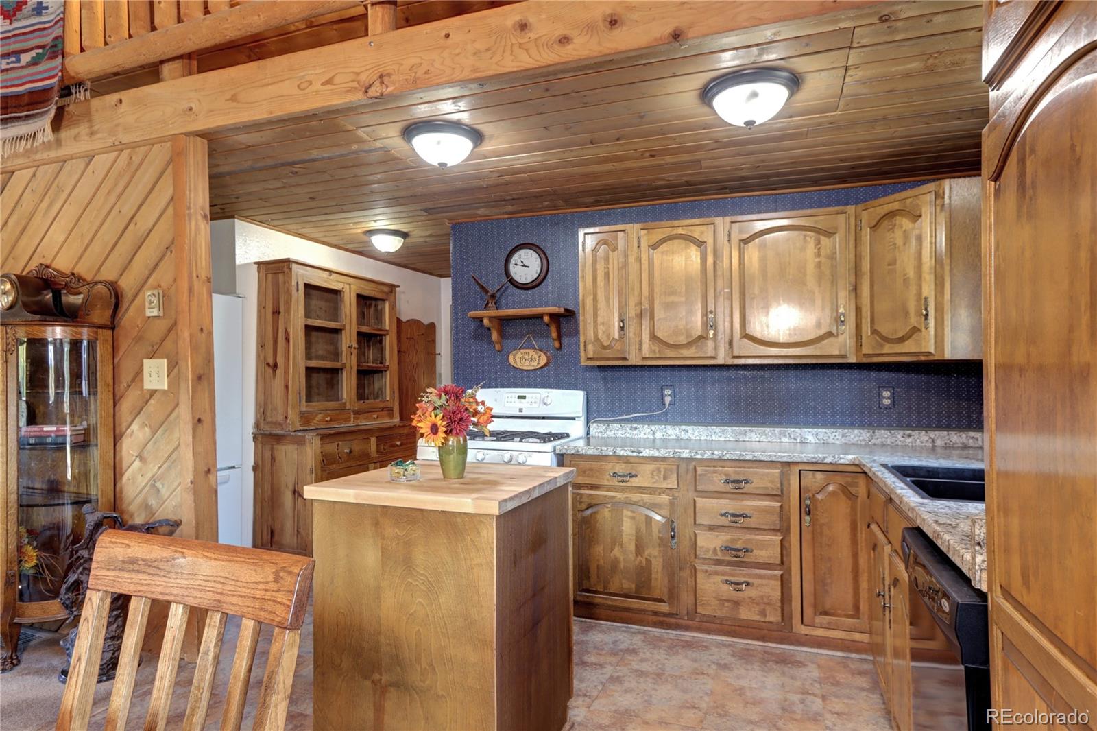 MLS Image #13 for 9340 s warhawk road,conifer, Colorado