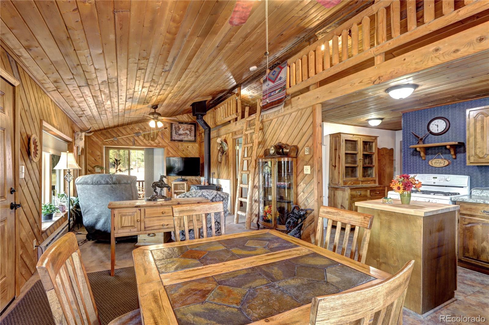 MLS Image #4 for 9340 s warhawk road,conifer, Colorado