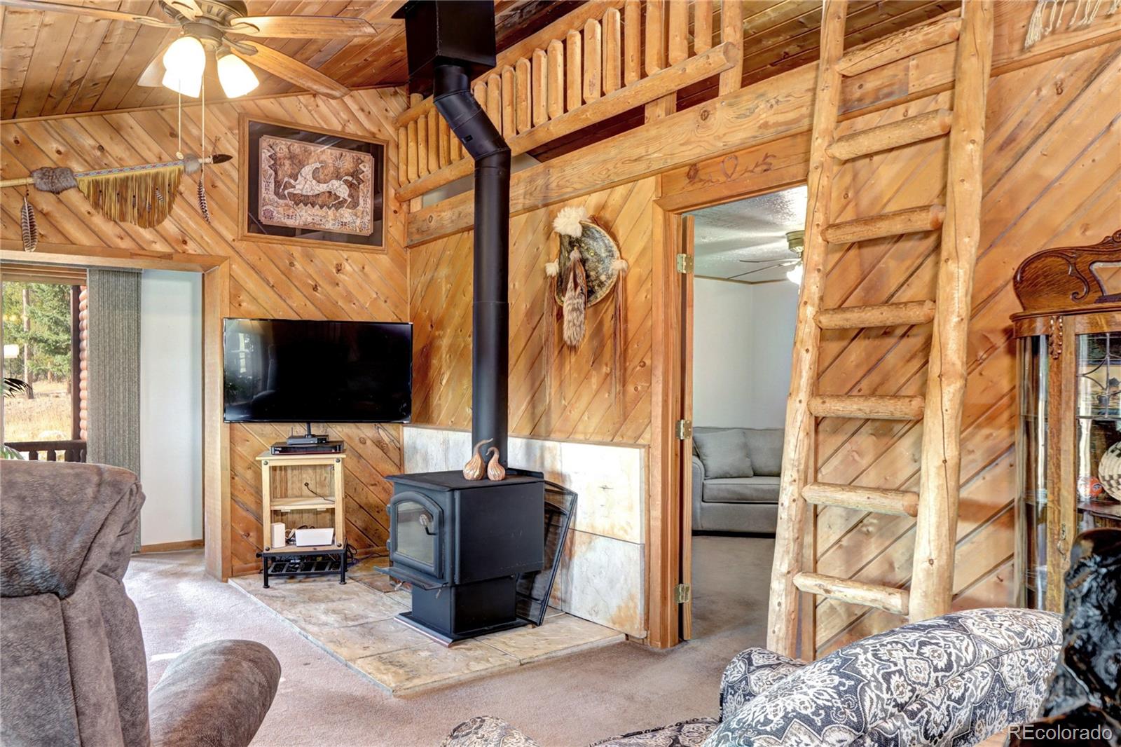 MLS Image #7 for 9340 s warhawk road,conifer, Colorado