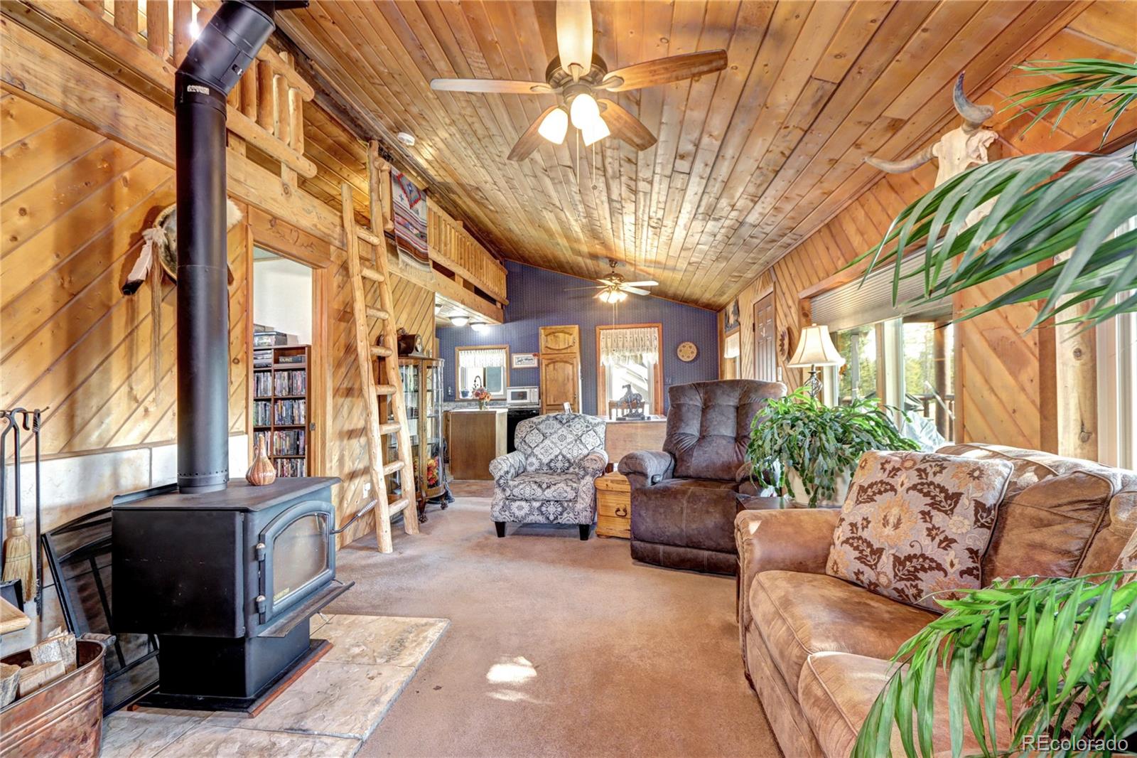 MLS Image #8 for 9340 s warhawk road,conifer, Colorado