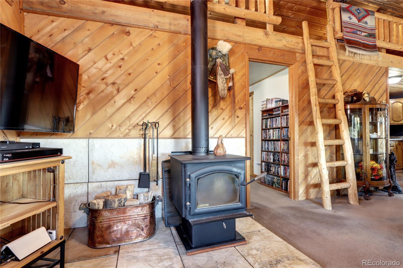 MLS Image #9 for 9340 s warhawk road,conifer, Colorado