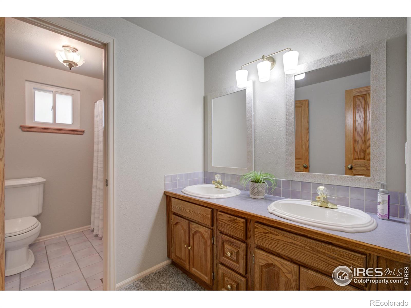 MLS Image #21 for 8  burlington drive,longmont, Colorado