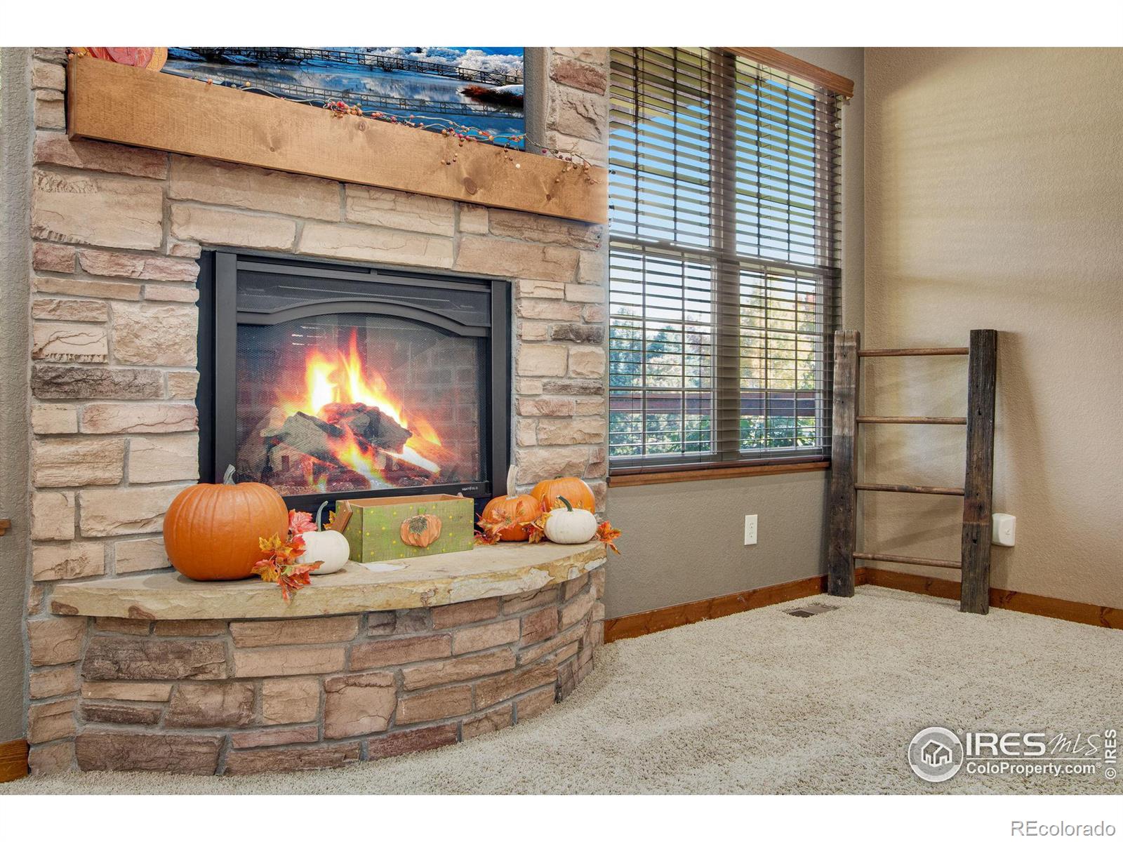 MLS Image #10 for 1145  osprey road,eaton, Colorado