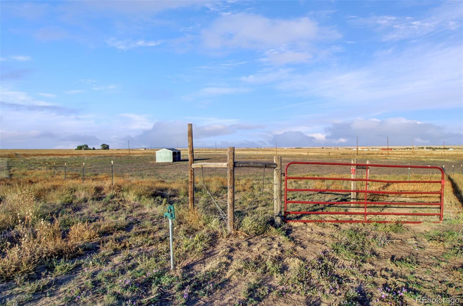 MLS Image #43 for 21689  leona homestead view,colorado springs, Colorado