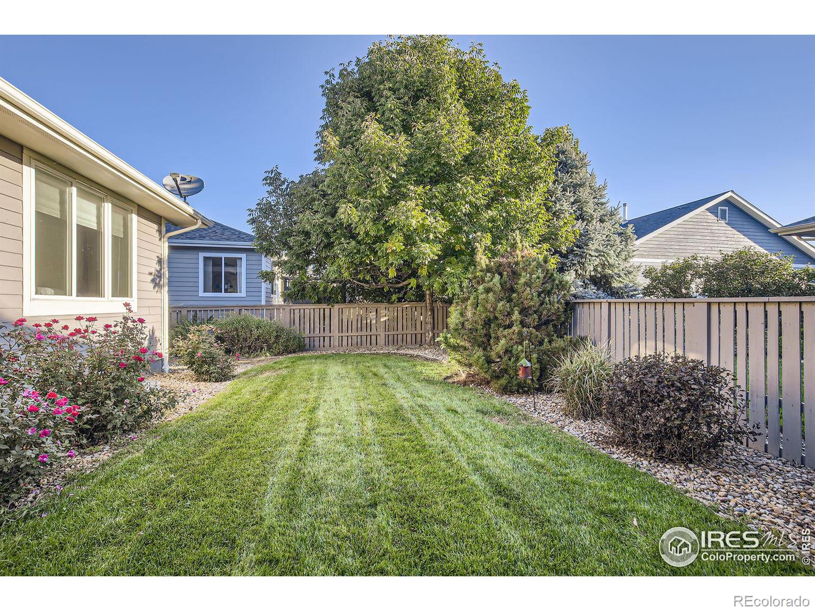 MLS Image #10 for 1526  grant drive,longmont, Colorado