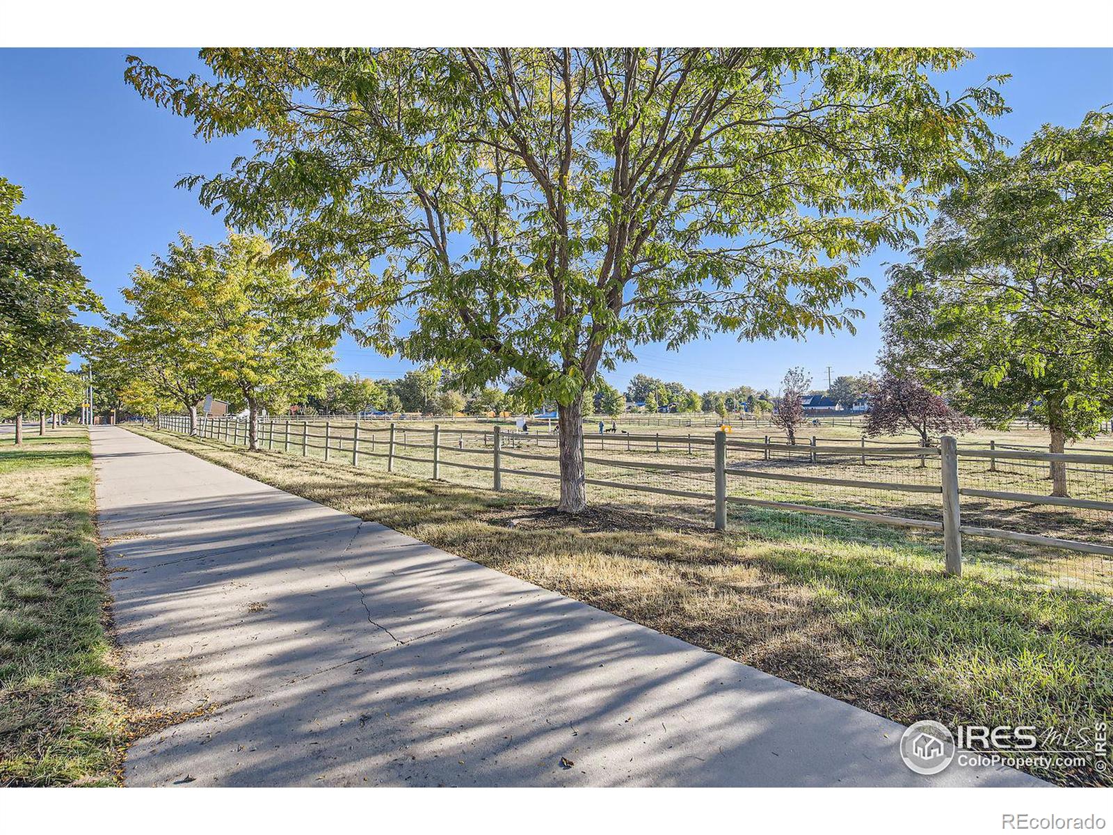 MLS Image #15 for 1526  grant drive,longmont, Colorado