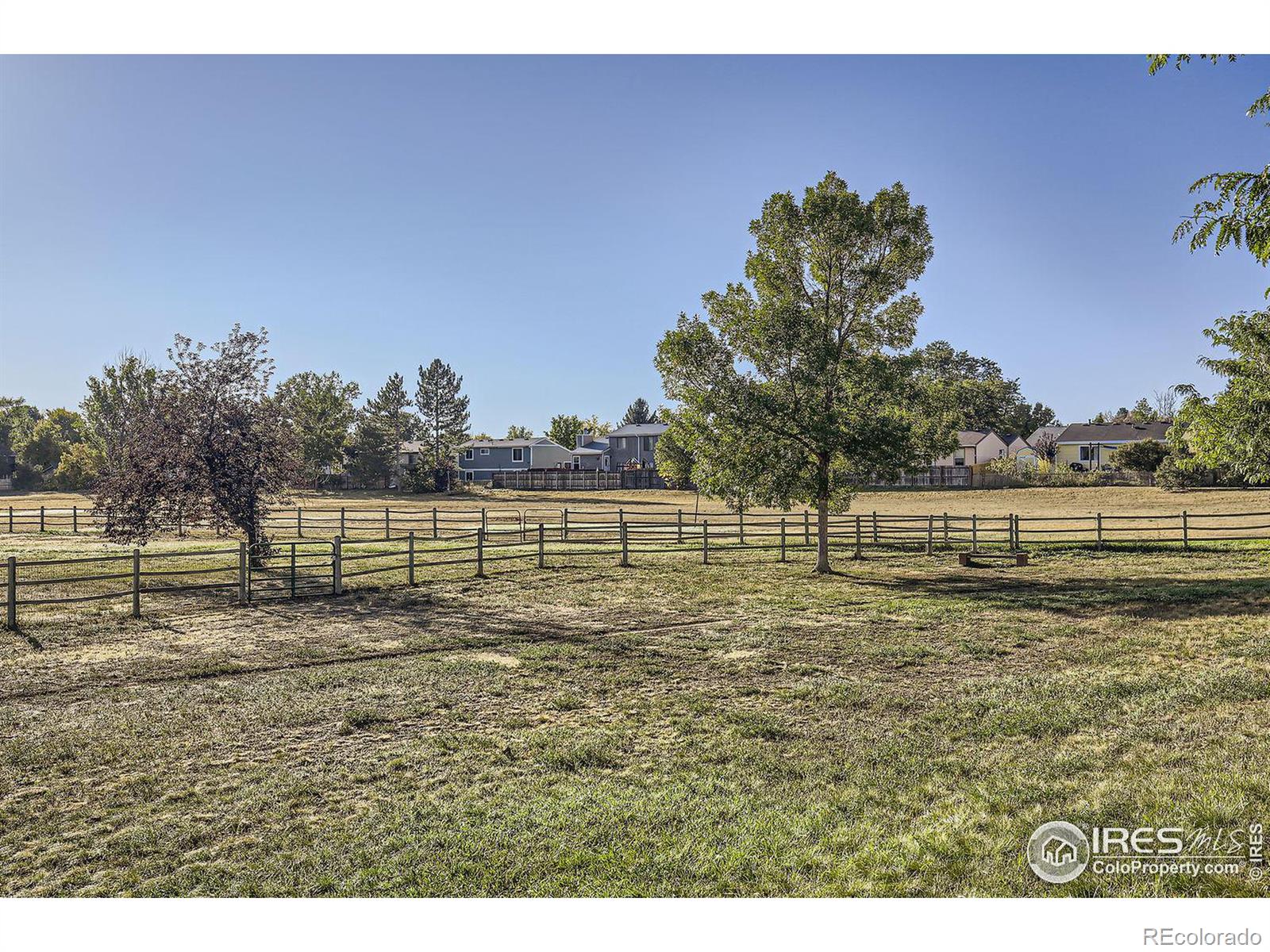 MLS Image #16 for 1526  grant drive,longmont, Colorado