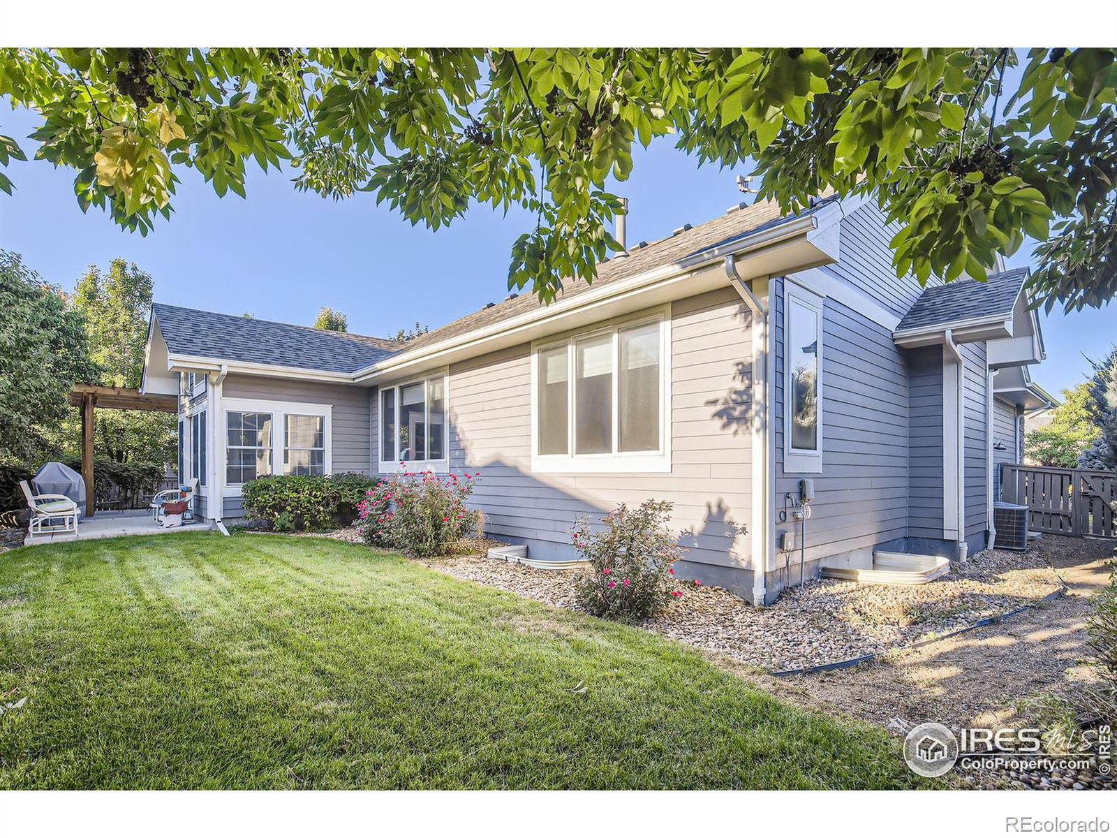 MLS Image #8 for 1526  grant drive,longmont, Colorado